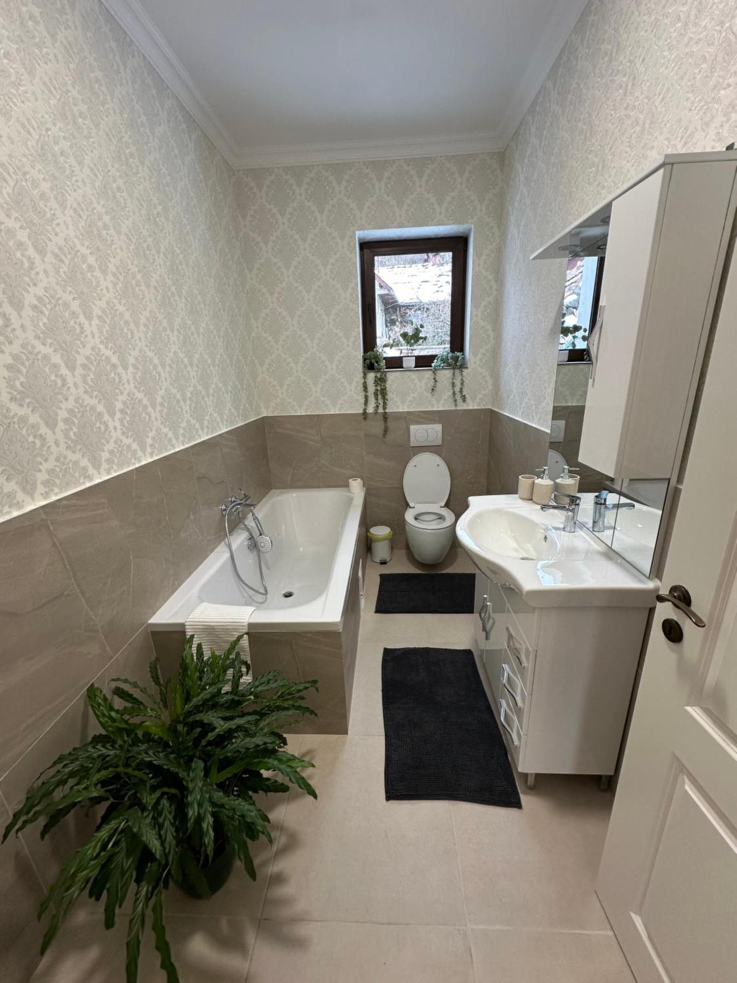 Schei House Apartment Брашов Екстериор снимка